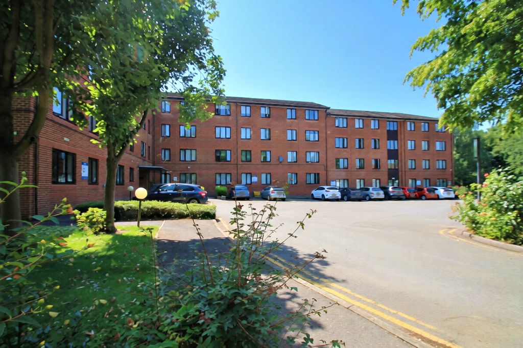 Main Image